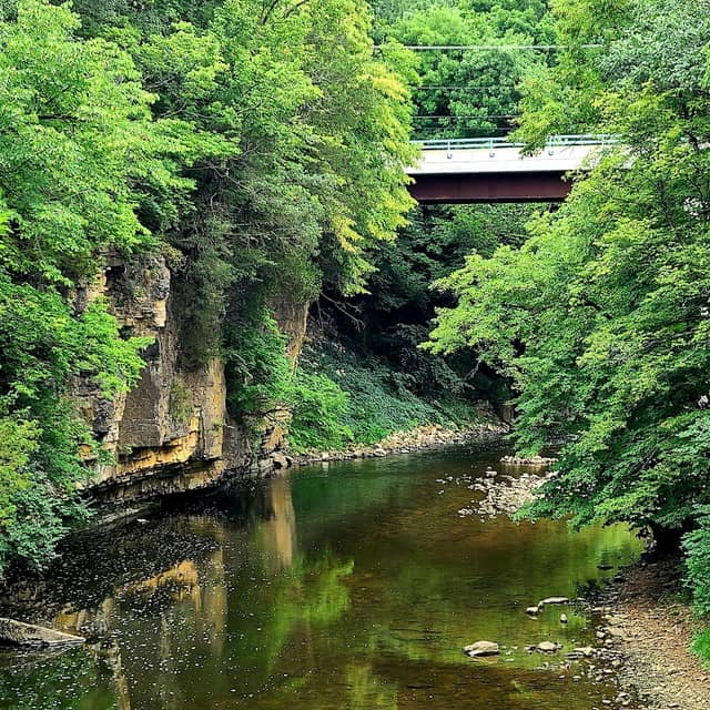 Kankakee River Trail South - Image 1