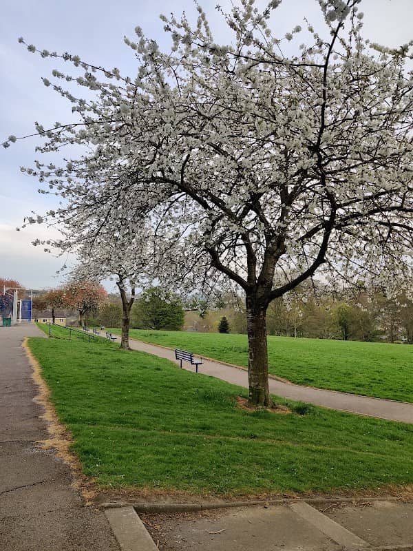 Fernside park - Image 2
