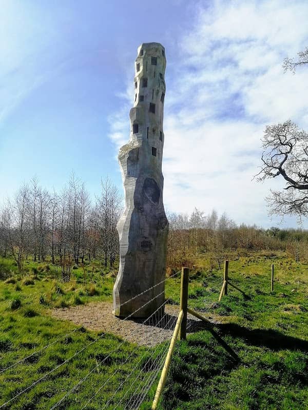 Diamond Wood - Image 1
