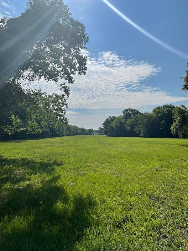 Almeda Rd Nature Reserve - Image 2