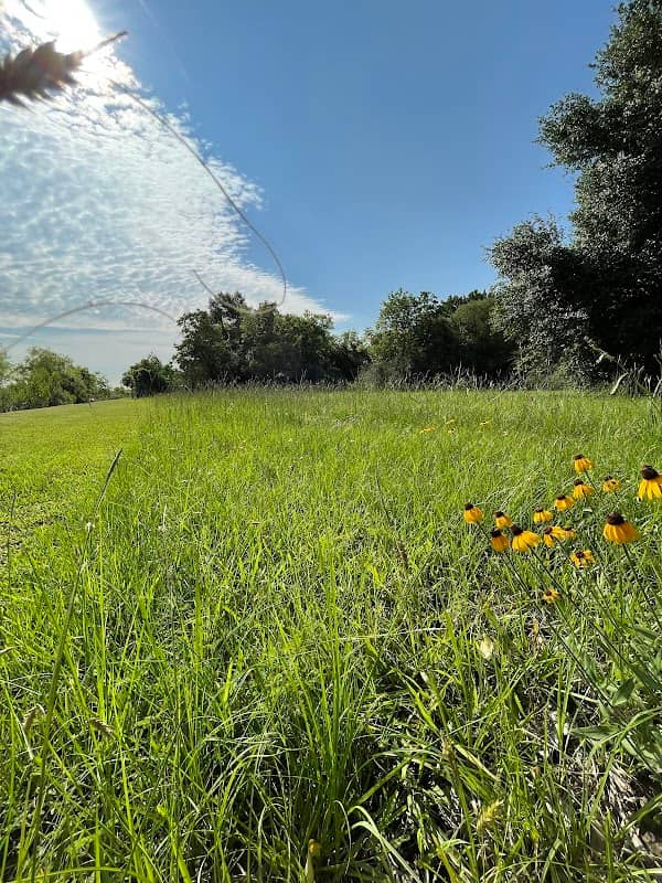 Almeda Rd Nature Reserve - Image 3