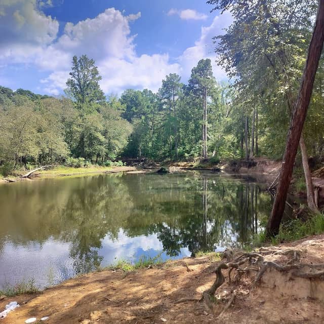 Garland P. Ferguson Park - Image 2