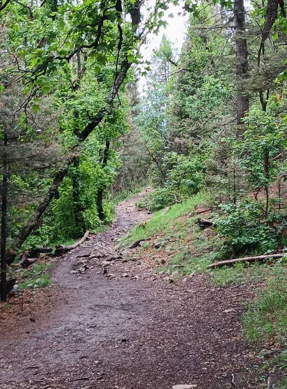 Lincoln National Forest - Image 1