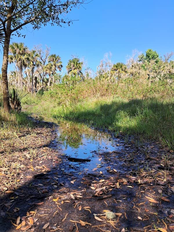 Kissimmee River Public Use Area - Pool C/Starvation Slough - Image 2