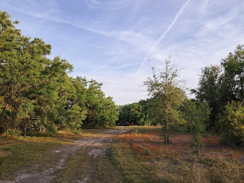 Kissimmee River Public Use Area - Pool C/Starvation Slough - Image 1