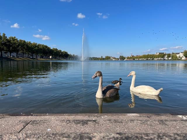 Fontänen am Burgsee - Image 1