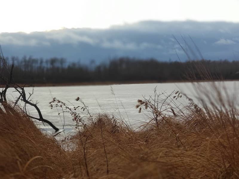 Parkland Natural Area - Image 2