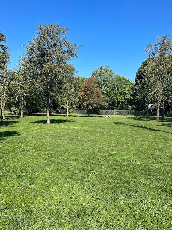Bellevue Dog Park - Image 1