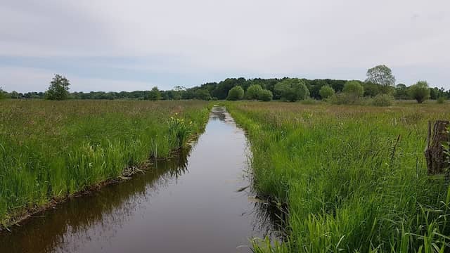 Tävsmoor / Haselauer Moor - Image 1