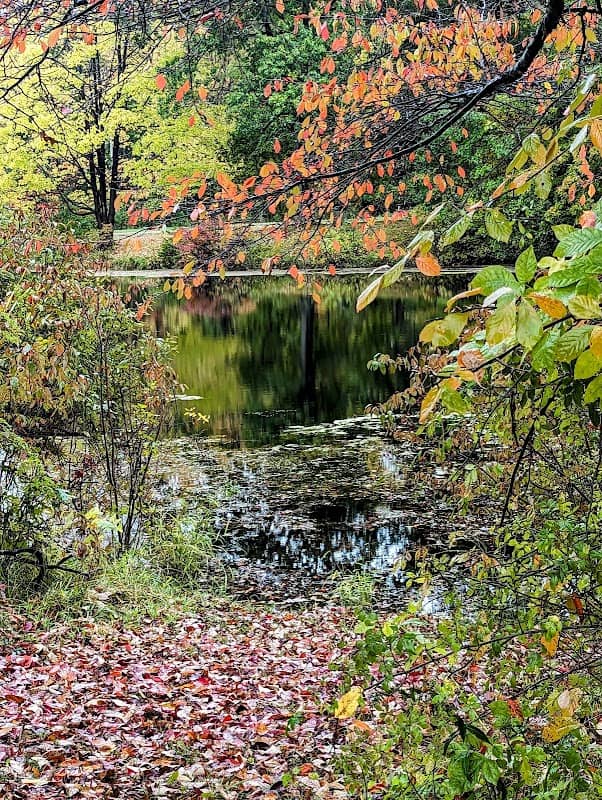 Matthews-Thomas Park - Image 1