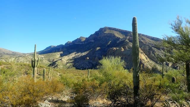 Needle's Eye Wilderness - Image 1
