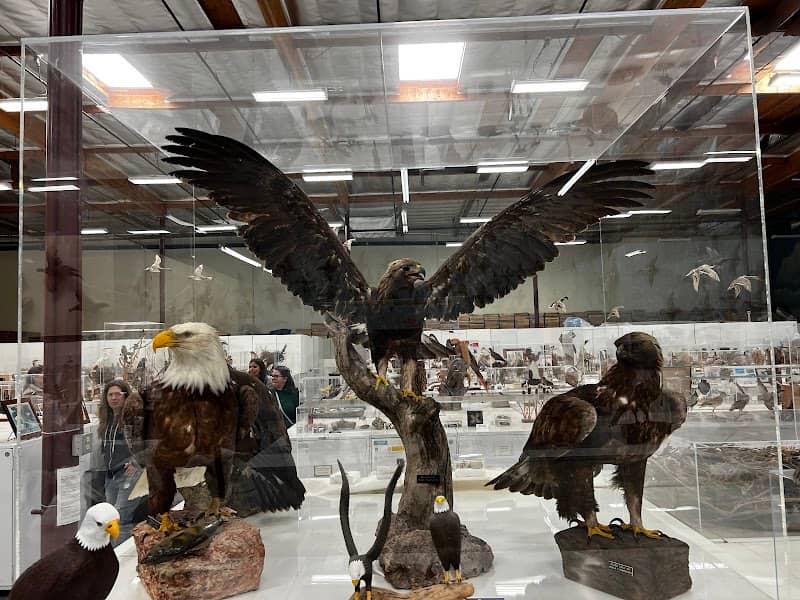 Western Foundation of Vertebrate Zoology - Image 1