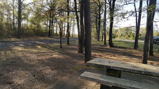 Picnic Area - Image 1
