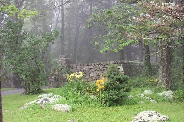 Bears Den - Image 3