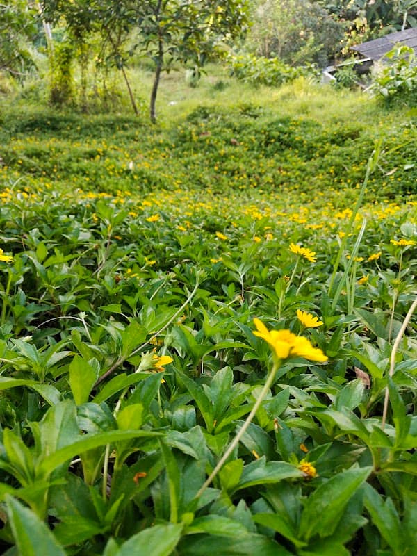 Dhevalokam- ദേവലോകം - Image 3
