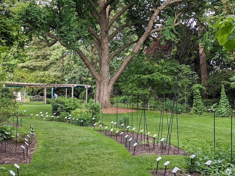 Beal Botanical Garden - Image 3