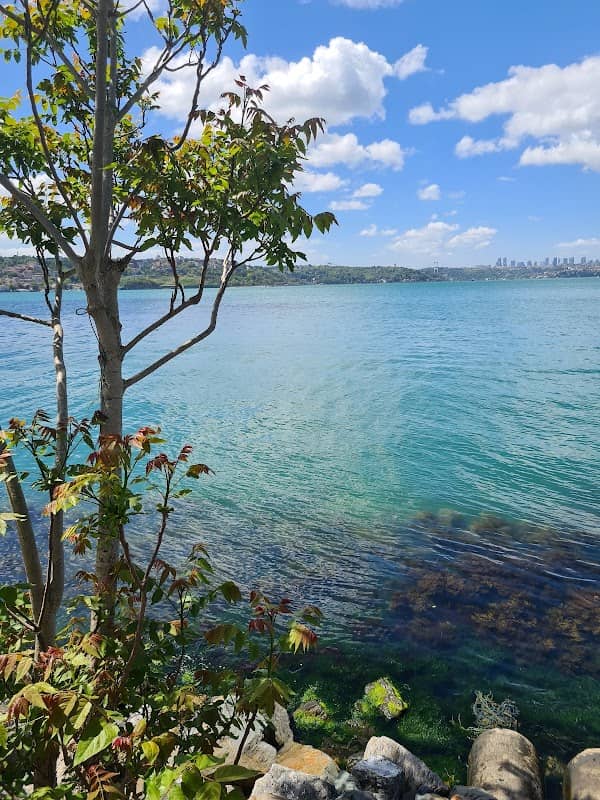 Beykoz Belediye İskelesi - Image 1