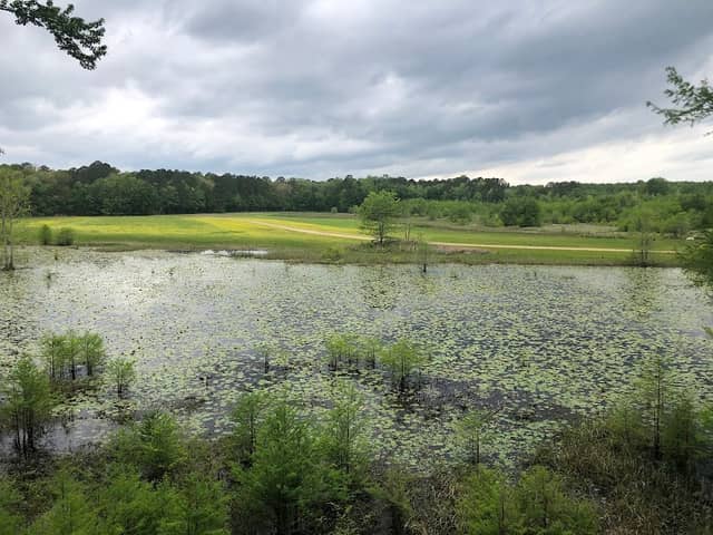 Goose Overlook - Image 1