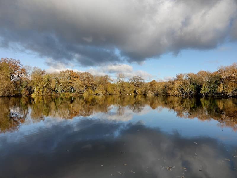 Swan Lake Park - Image 2