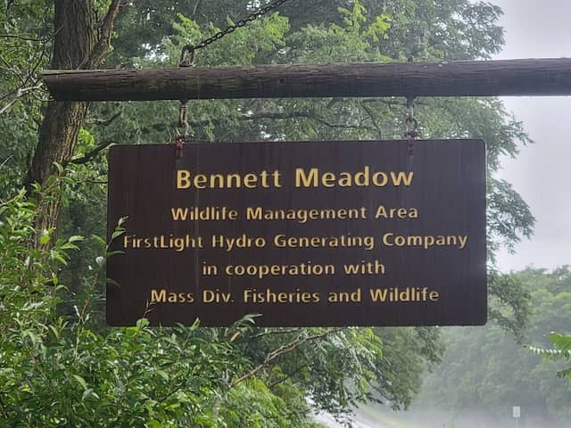 Bennett Meadows Wildlife Management Area - Image 2