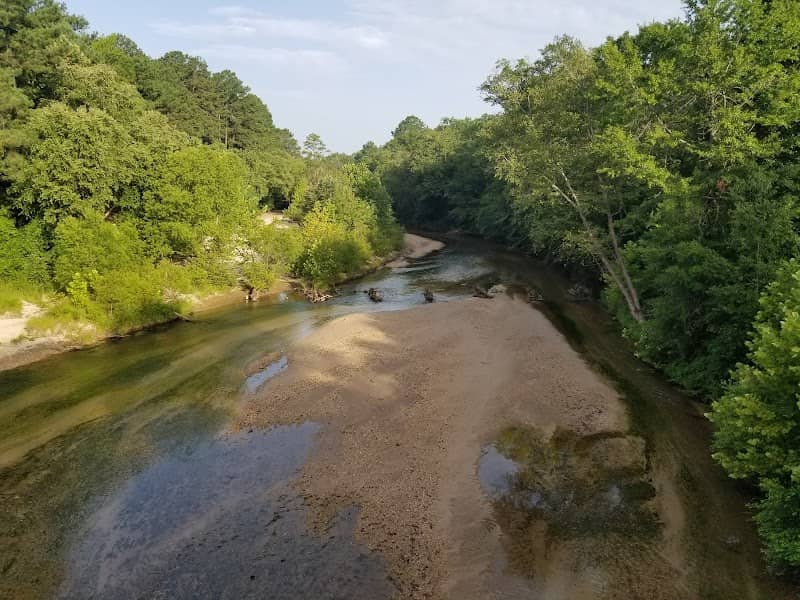 Homochitto National Forest - Image 2