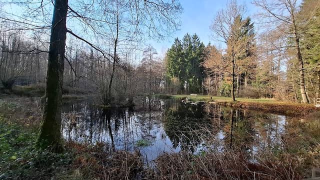 Parkweiher - Image 1