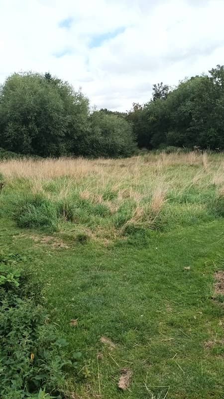 Cripsey Brook Nature Reserve - Image 1