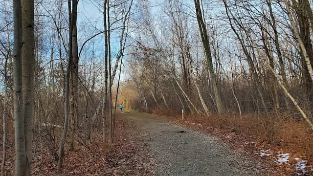 Harbert Road Preserve - Image 1