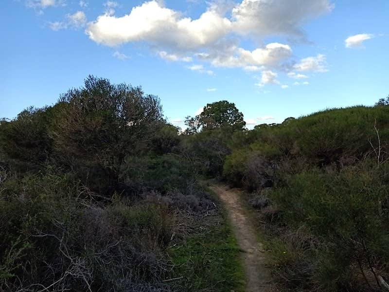 Brixton Street Wetlands - Image 1