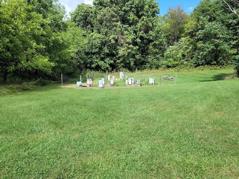 Botetourt Honey Bee Sanctuary - Image 2