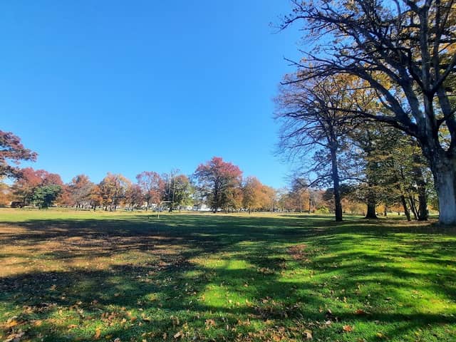 Cedar Brook Park - Image 1