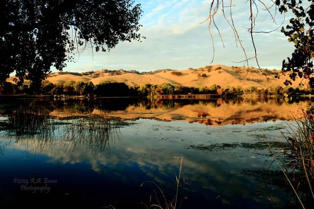 Contra Loma Regional Park - Image 1