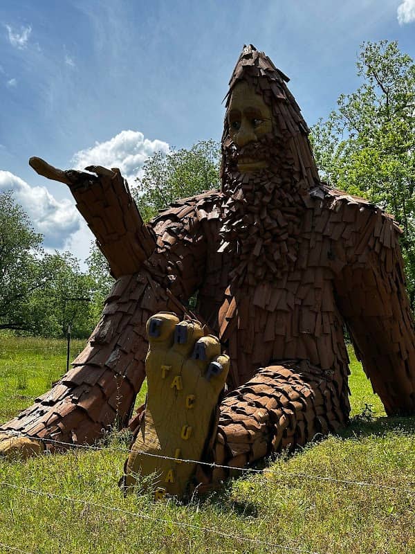 Georgia Sasquatch - Image 1