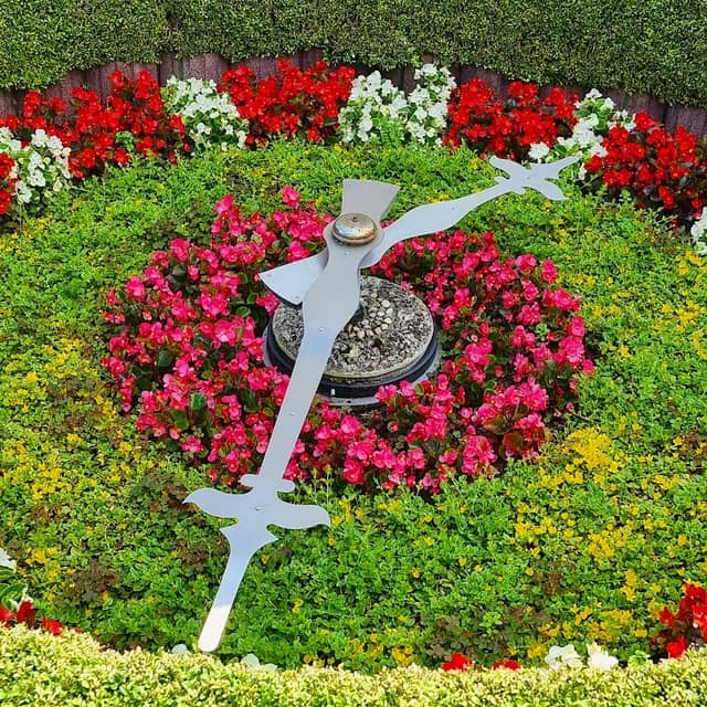 Blumenuhr - Image 1