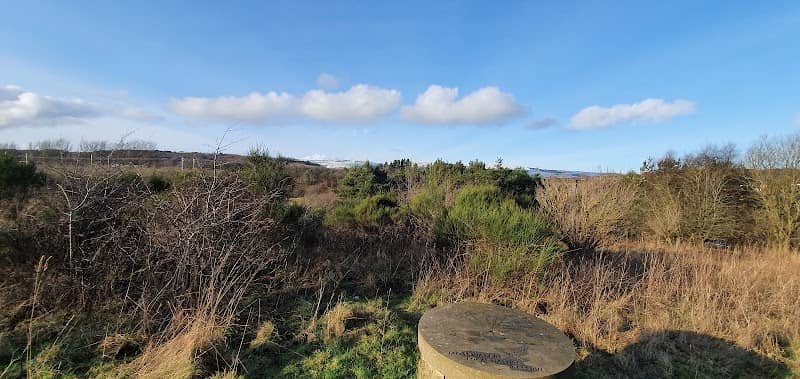 Mosswater Local Nature Reserve - Image 1