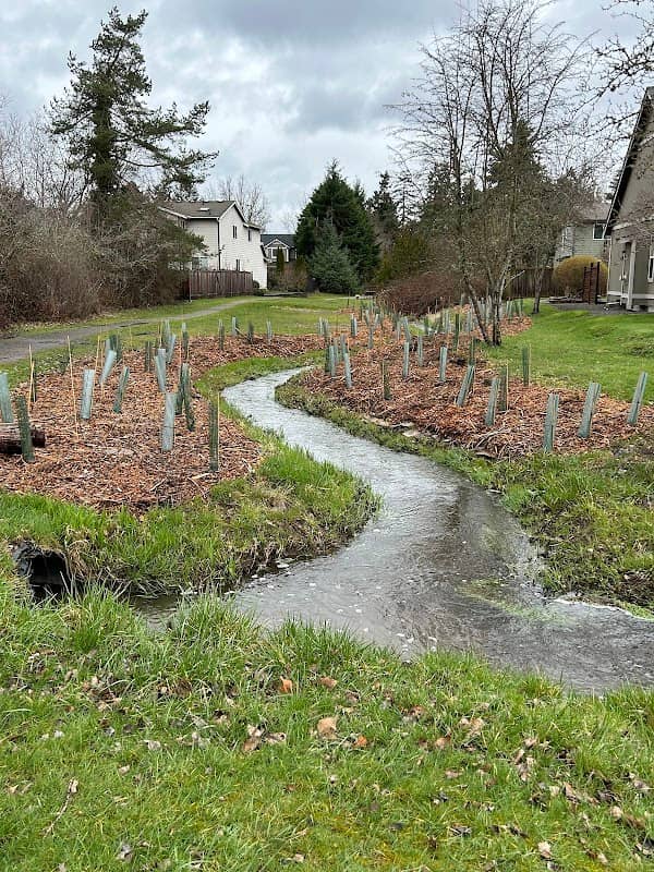 Steilacoom Public Trail - Image 2