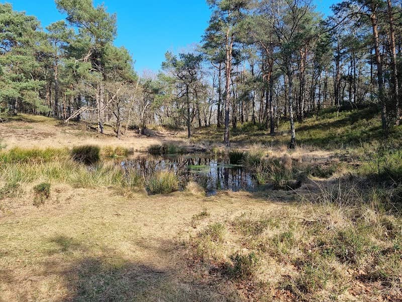 Wildviaduct Woeste Hoeve, A50 - Image 1