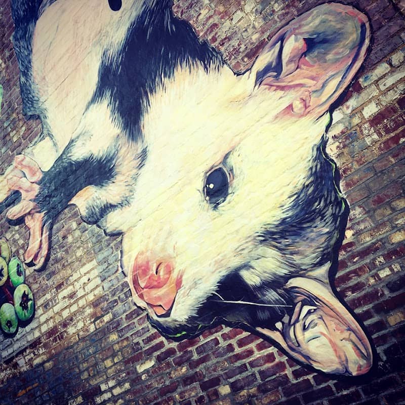 Petunia Possom Mural- Part of the 2019 Mural Fest by MTN - Image 2