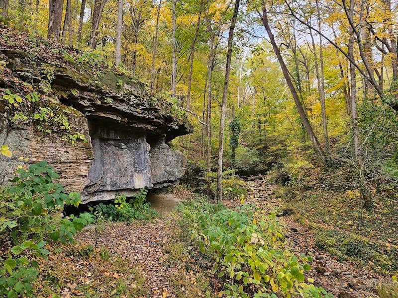 Muscatatuck Park - Image 1