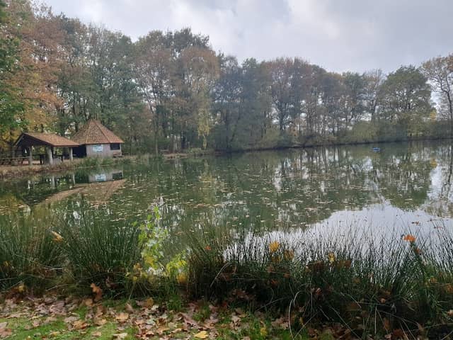 Dwergter Meer - Image 1