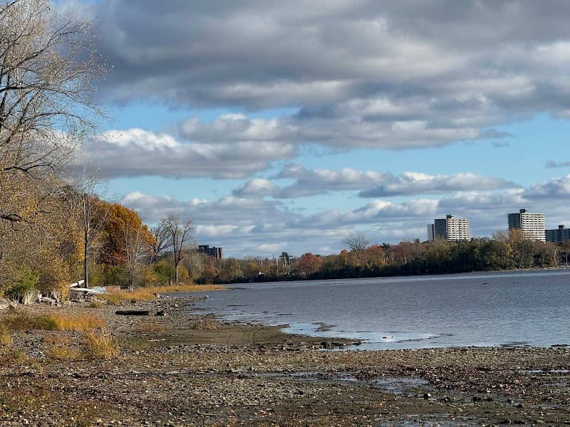 Guillot park - Image 1
