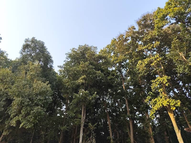 साधना सरोवर - Image 1