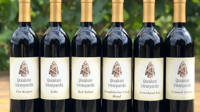 Qualusi Vineyards - Image 1