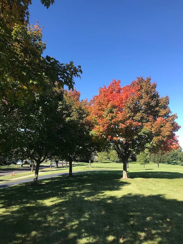 Hawthorn Club Park - Image 2