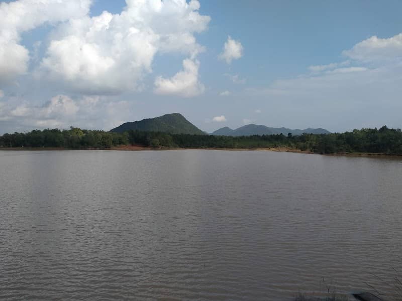 Pachilagodi MIP - Image 1