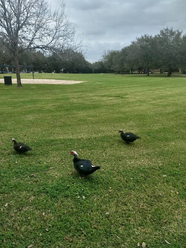 Sugar Lakes Park - Image 2