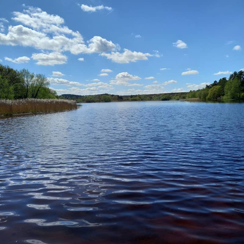 Frensham Little Pond - Image 1