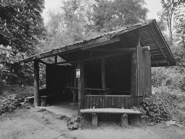 WildKatzen - Image 1