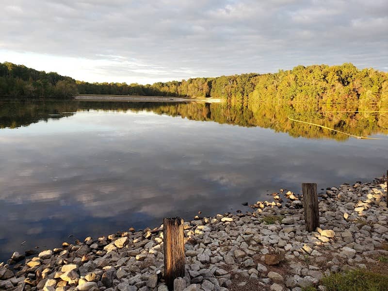 Pine Lake Picnic Area - Image 1