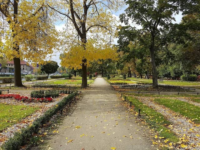 Park przypałacowy - Image 1